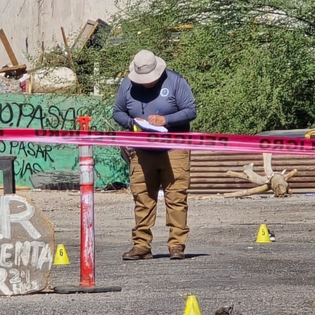 Localizan Cuerpo de Mujer con Presuntas Mordidas de Perros